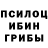 Галлюциногенные грибы мухоморы Piotr Hrytsal