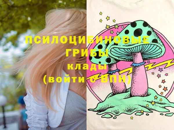 мдпв Новосибирск