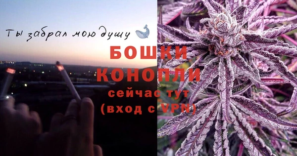 мдпв Заводоуковск