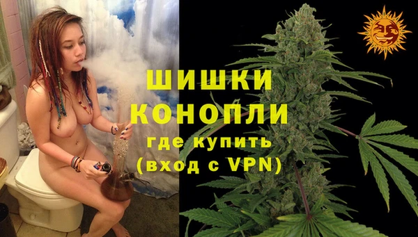 мдпв Новосибирск
