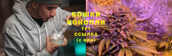 каннабис Санкт-Петербург