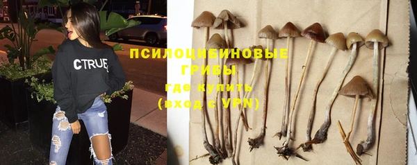 мдпв Новосибирск