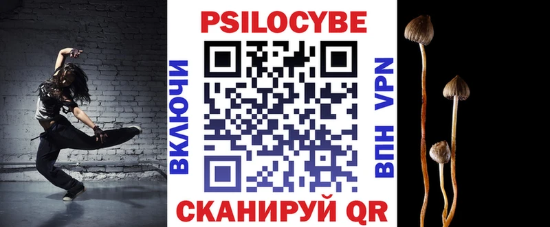 Галлюциногенные грибы Psilocybine cubensis  Аксай 