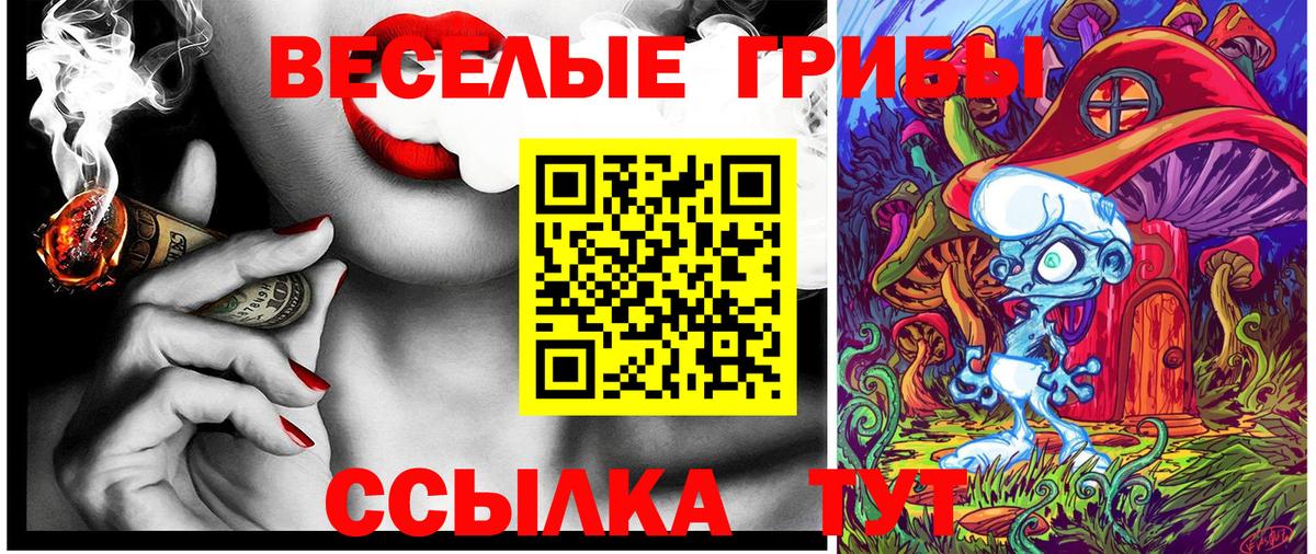 Аксай  Галлюциногенные грибы Cubensis  Вход с VPN 