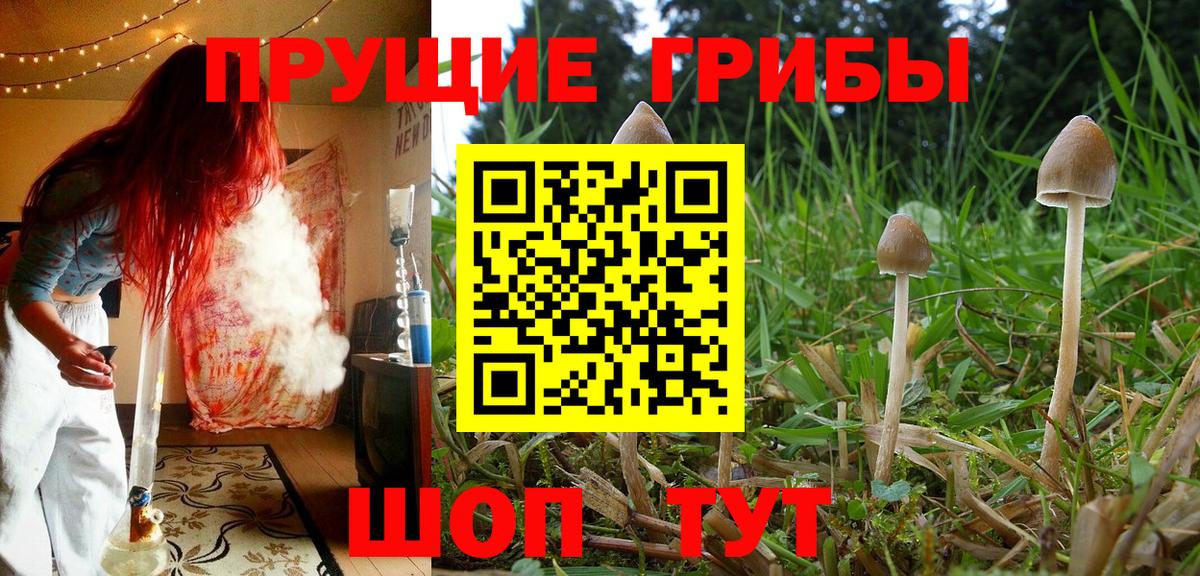Гарик  Cocaine  APVP  Аксай  Конопля  МЕТ  Вход с VPN  Меф  Метадон 