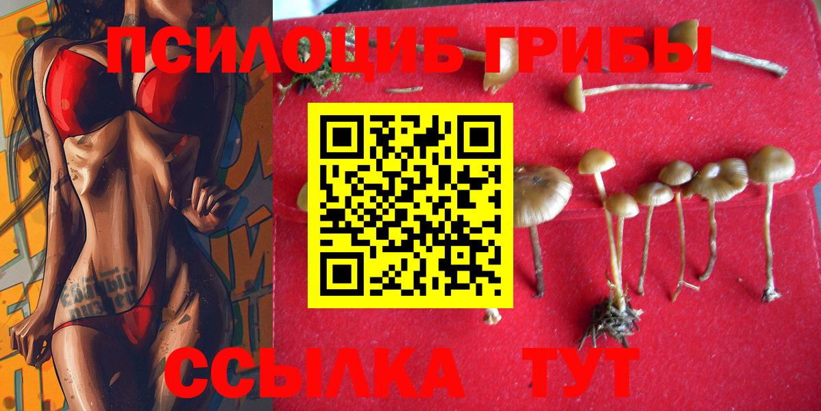 Псилоцибиновые грибы ЛСД Аксай