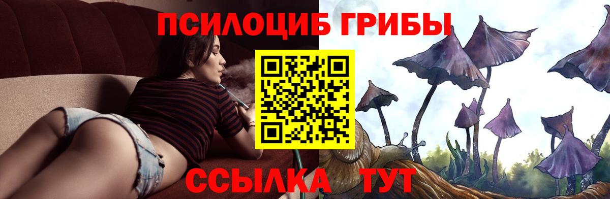 Псилоцибиновые грибы MAGIC MUSHROOMS  Аксай 